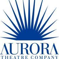 Aurora Theater Co Hosts The Second Script Club Meeting 11/30 Video